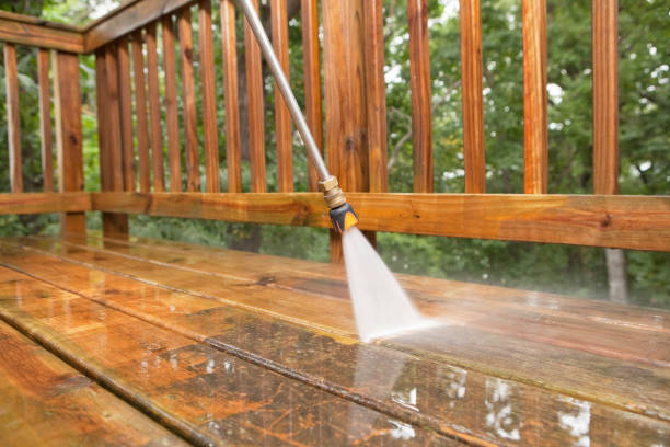 Best Best Pressure Washing Companies  in Freer, TX