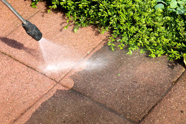 Best Local Pressure Washing Services  in Freer, TX